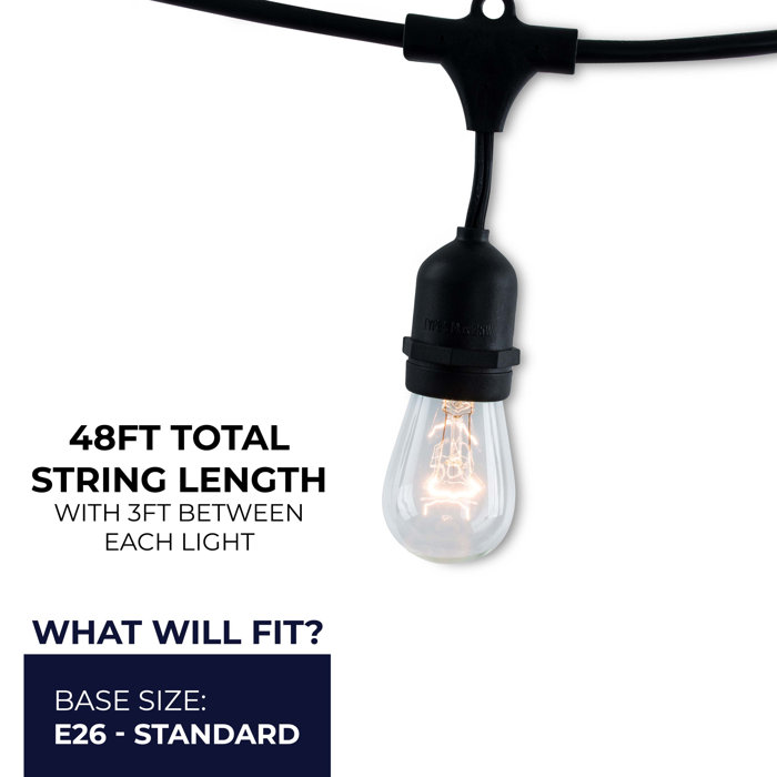 Birch Lane™ Galena 48ft Outdoor 15 Bulb Standard String Light (End